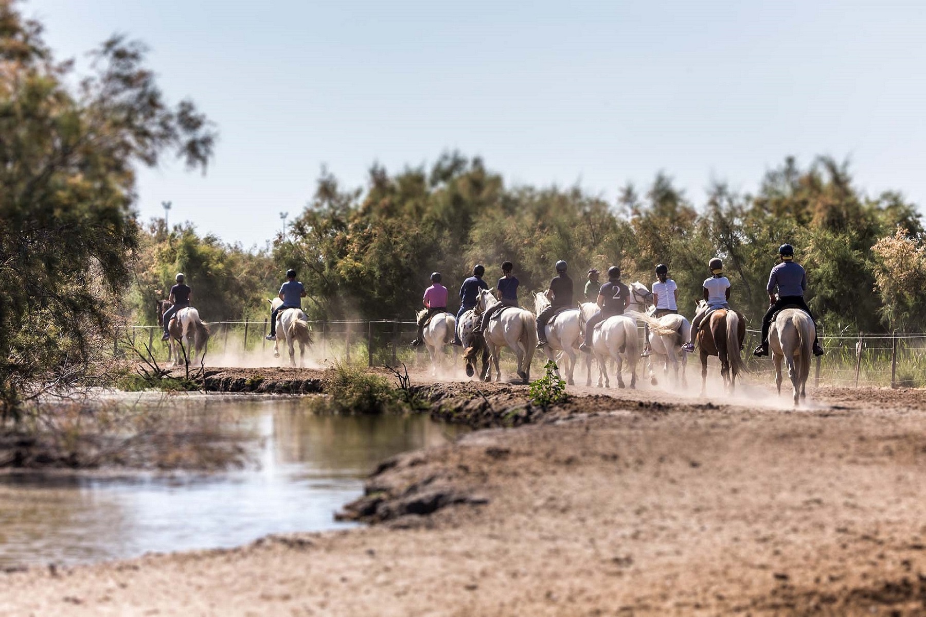 Séminaire en Camargue