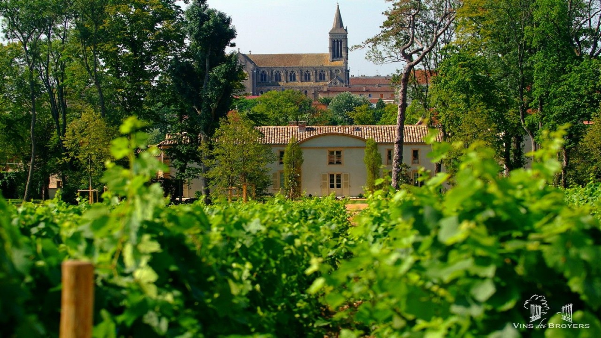 Beaujolais Château des Broyers