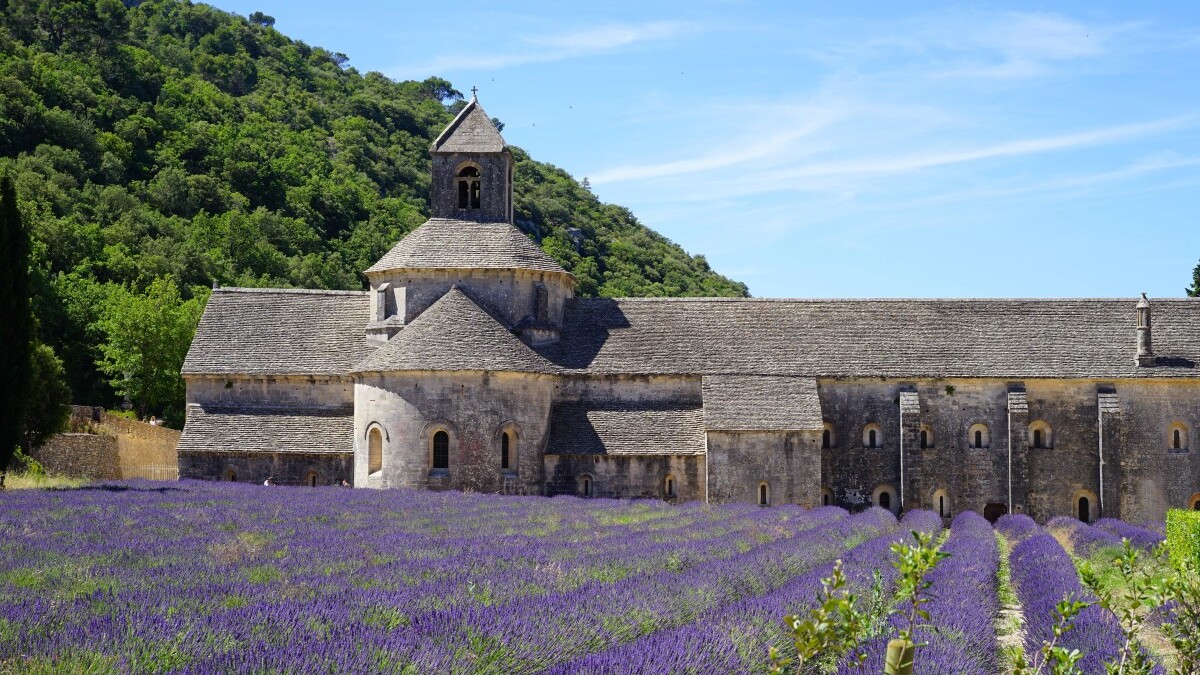 Séminaire Provence