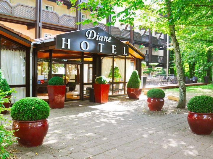 Hotel Diane Orion Saint Eloy entree